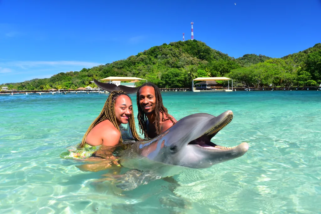 Dolphins & Island Tour